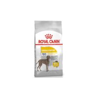 royal-canin-maxi-dermacomfort-12kg