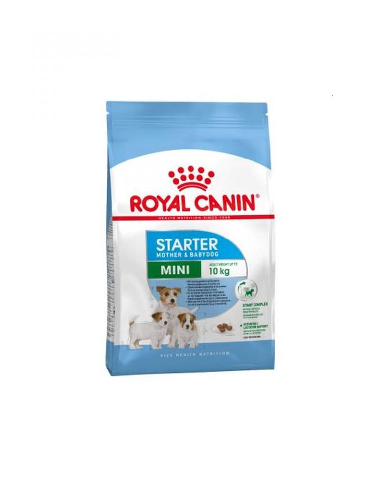 royal-canin-mini-starter-1kg