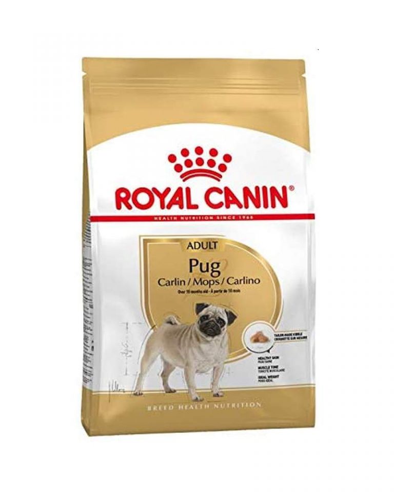 royal-canin-pug-adult-1-5kg
