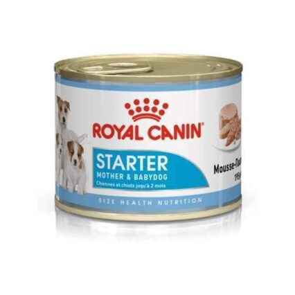 royal-canin-starter-mousse-195gr