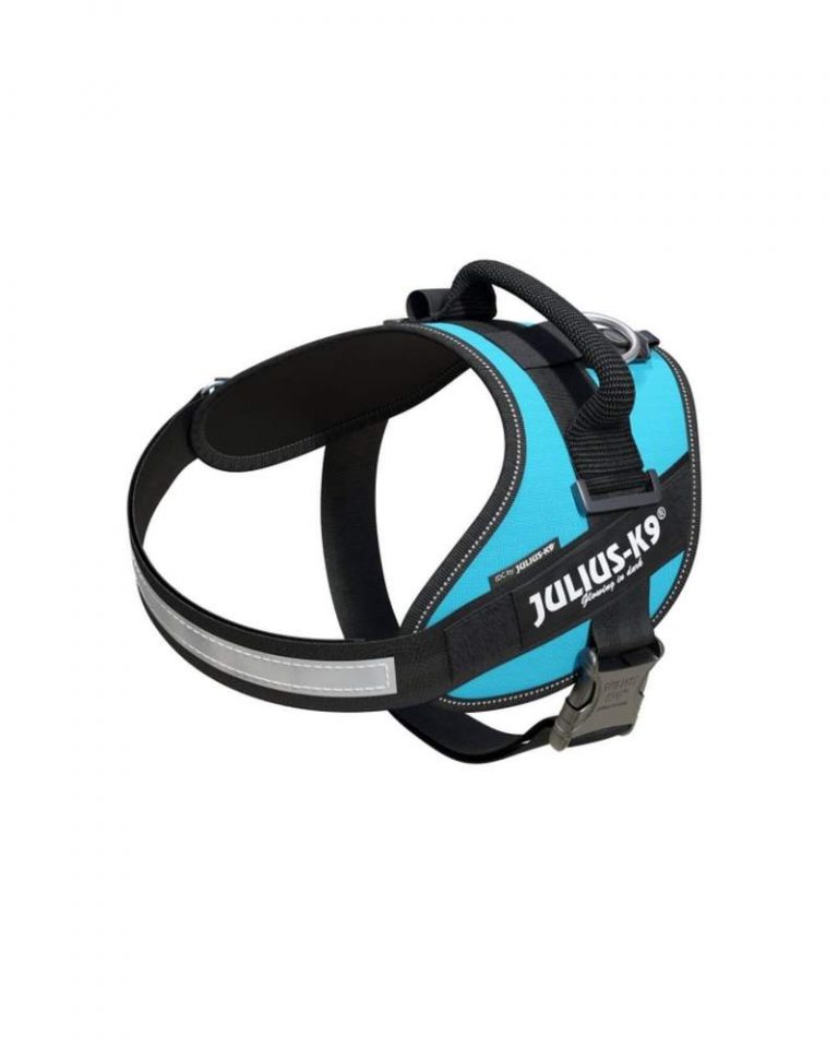 idc-powerharness-size-0-aquamarine