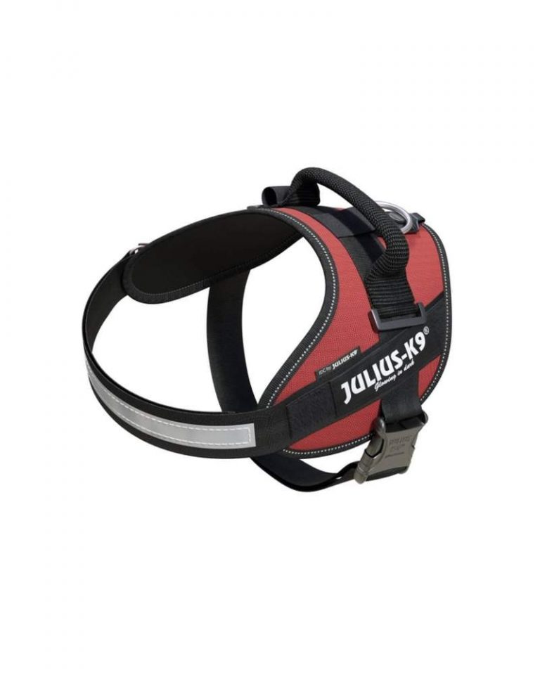idc-powerharness-size-0-bordeaux-brown