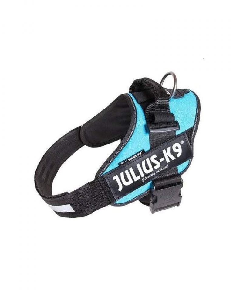 idc-powerharness-size-1-aquamarine