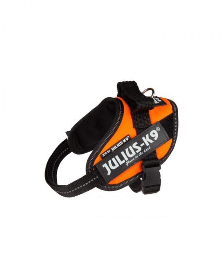 idc-powerharness-size-baby-2-uv-orange