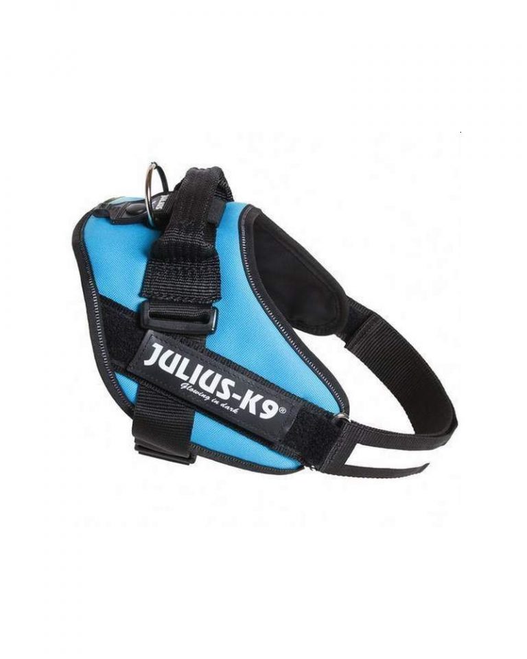 idc-powerharness-size-mini-aquamarine