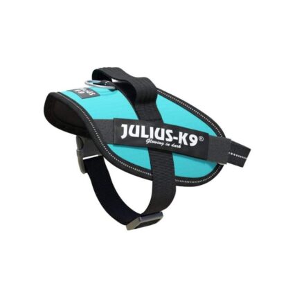 idc-powerharness-size-mini-mini-aquamarine