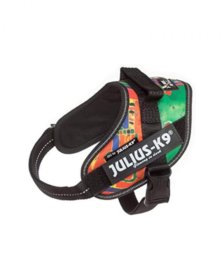 idc-powerharness-size-mini-reggae-canis