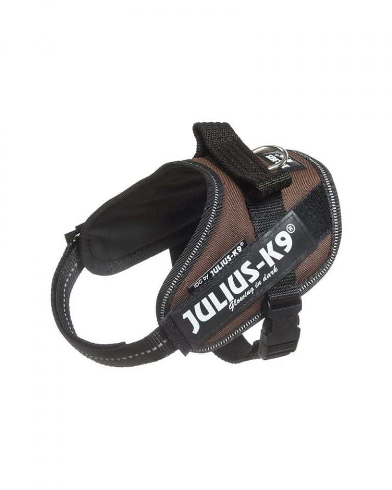 idc-powerharness-talla-mini-chocolate