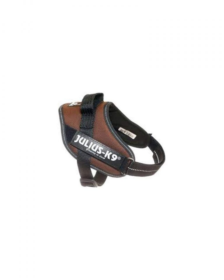 julius-arnes-idc-talla-baby-2-chocolate