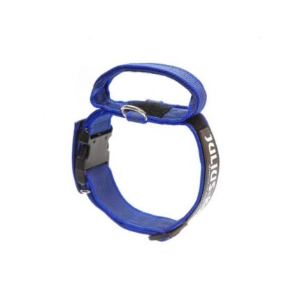 julius-collar-50mm-velcro-azul-gris