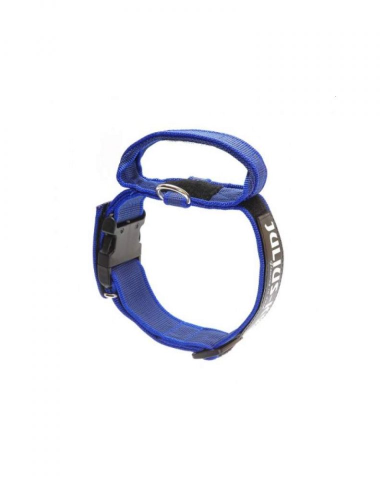 julius-collar-50mm-velcro-azul-gris