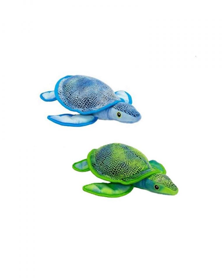 tortuga-caribe-30-cms