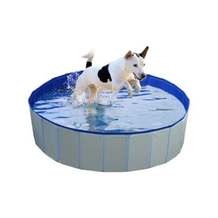 duvo-piscina-para-perros-azul-120x30cm