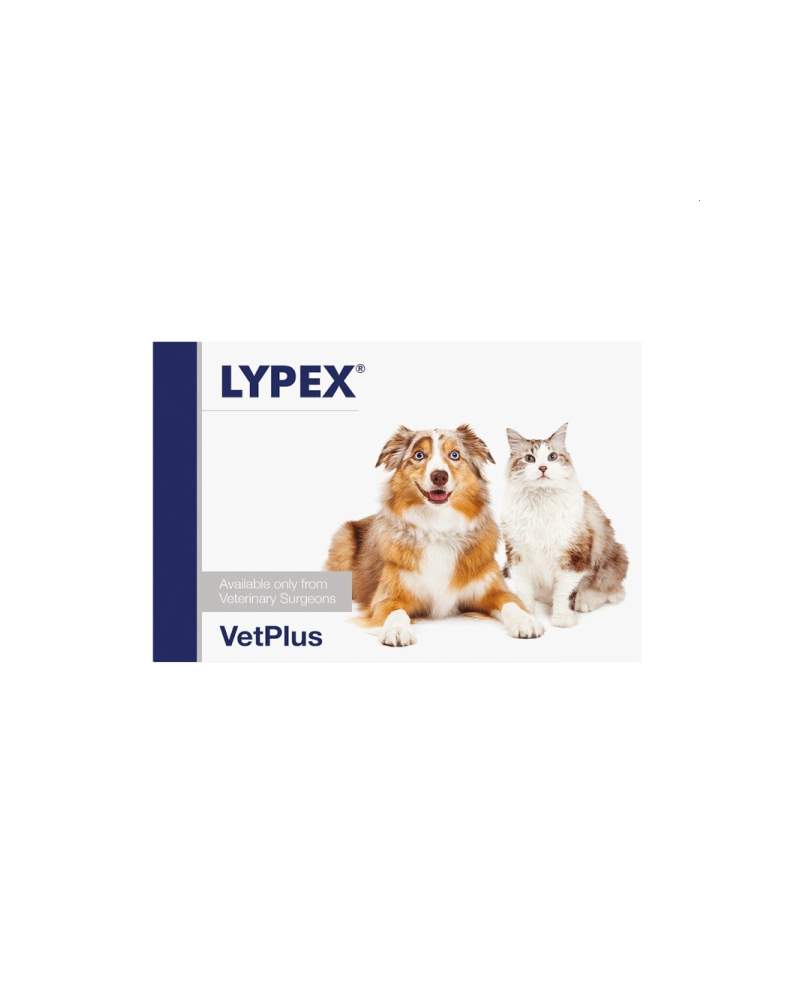 Lypex 60 Capsulas